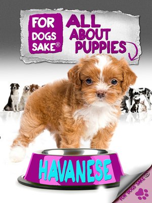 cover image of All About Havanese Puppies
